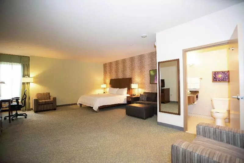 キングサイズベッドのスタンダードルーム, Hilton Garden Inn Covington