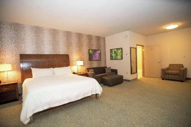 キングサイズベッドのスタンダードルーム, Hilton Garden Inn Covington