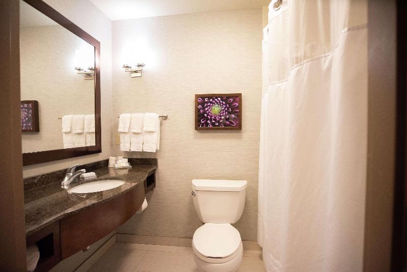 带大床的标准间, Hilton Garden Inn Covington