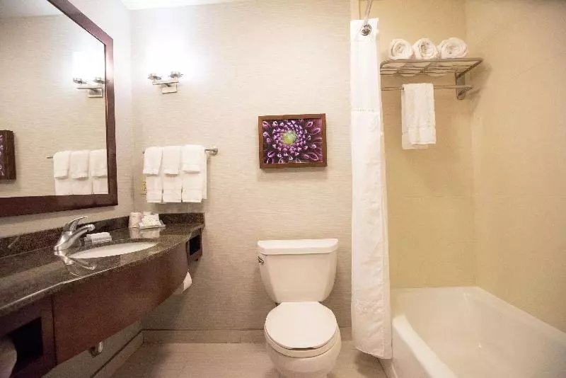 プレミアムルーム, Hilton Garden Inn Covington