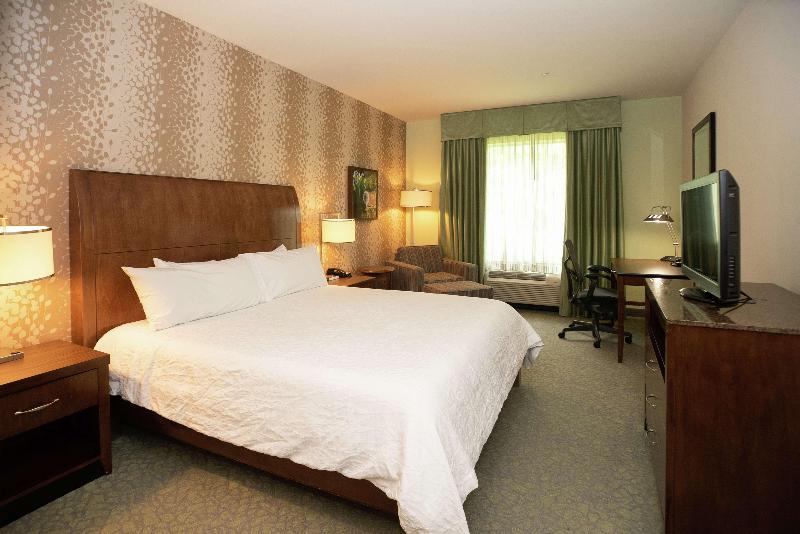 프리미엄 룸, Hilton Garden Inn Covington