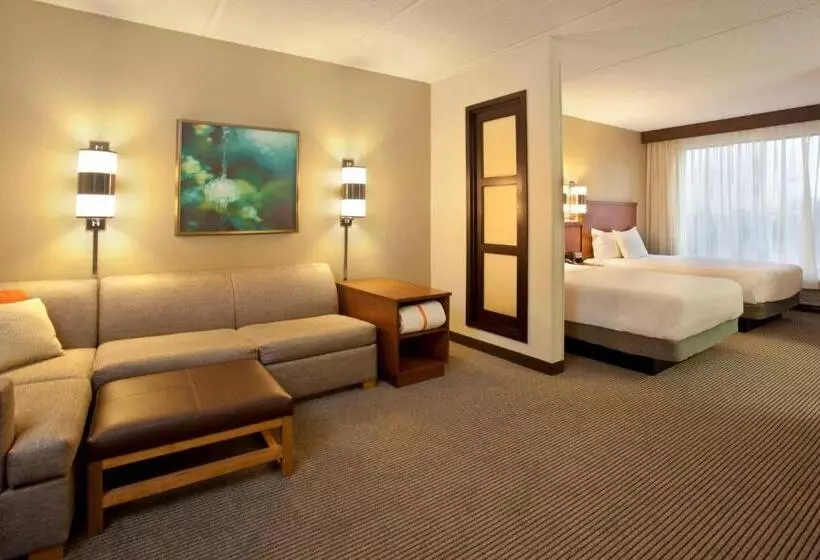اتاق استاندارد با تخت بزرگ, Hyatt Place Atlanta Airport North