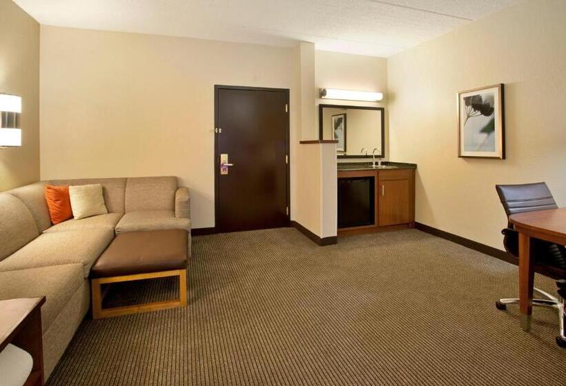 غرفة قياسية سرير كينج لذوى الإحتياجات الخاصة, Hyatt Place Atlanta Airport North