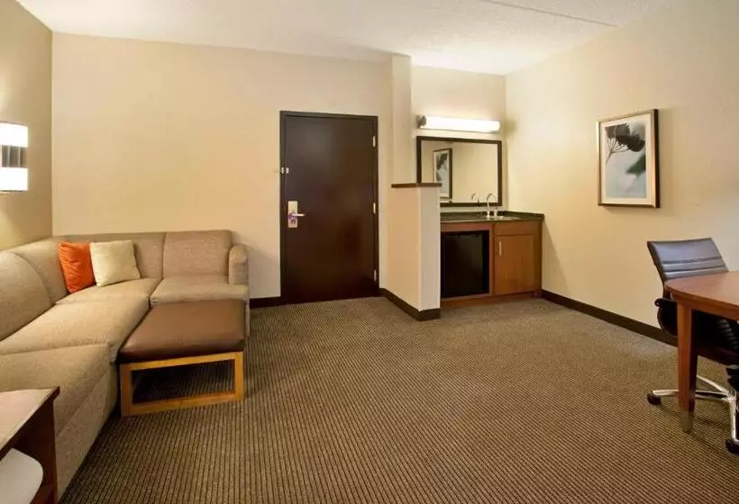 اتاق استاندارد با تخت بزرگ برای معلولان, Hyatt Place Atlanta Airport North