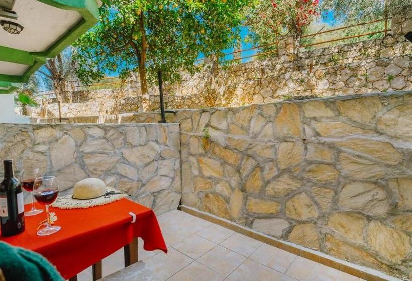 اتاق استاندارد, Patara Delfin