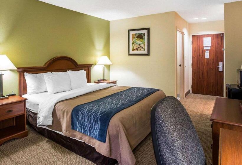 غرفة قياسية سرير كينج, Quality Inn Dariennorth Brunswick