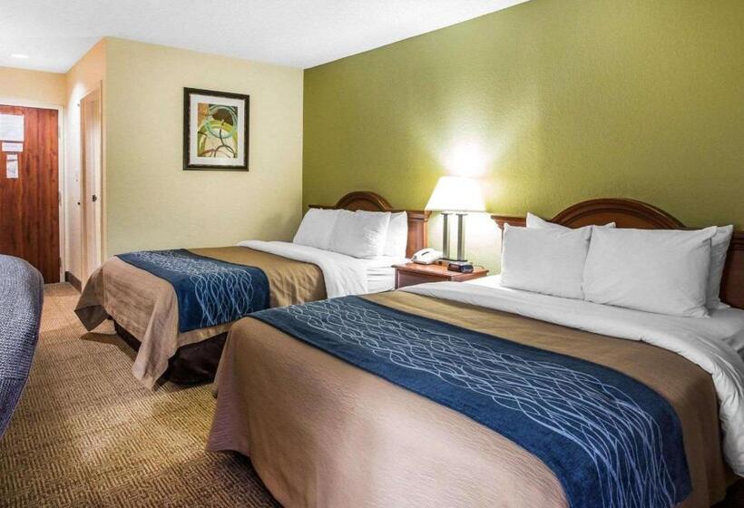 غرفة قياسية, Quality Inn Dariennorth Brunswick