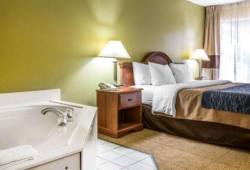 غرفة قياسية سرير كينج, Quality Inn Dariennorth Brunswick