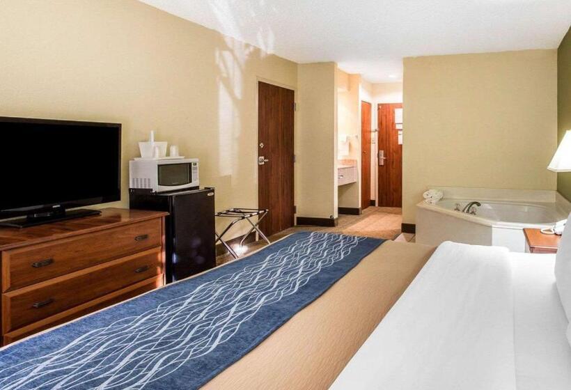 غرفة قياسية سرير كينج, Quality Inn Dariennorth Brunswick