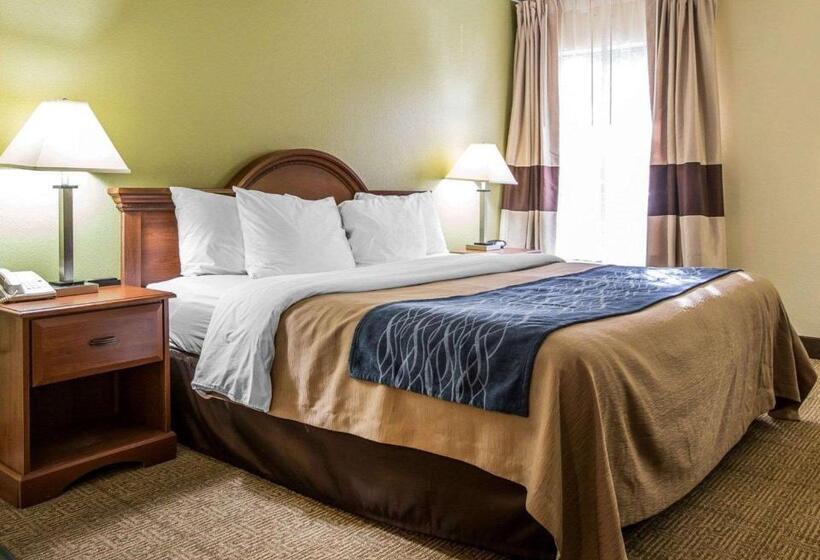 غرفة قياسية سرير كينج, Quality Inn Dariennorth Brunswick