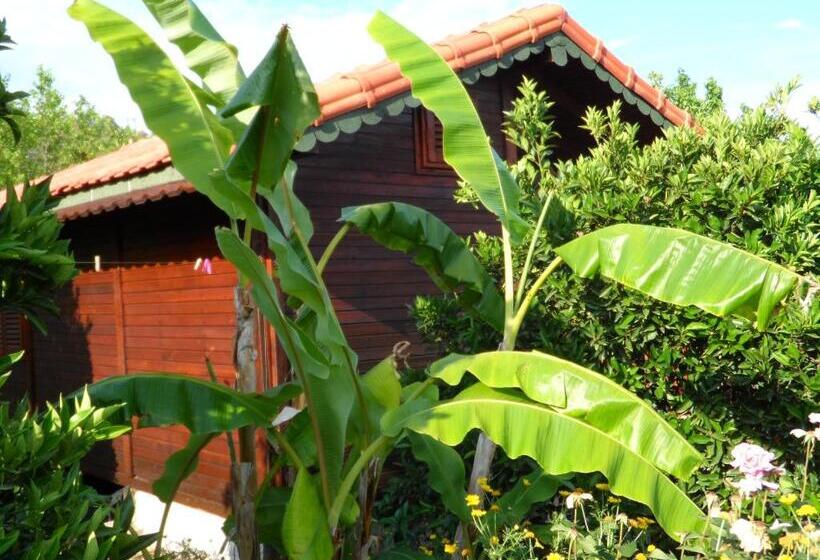 Бунгало Стандарт, Ugur Pansiyon Bungalows
