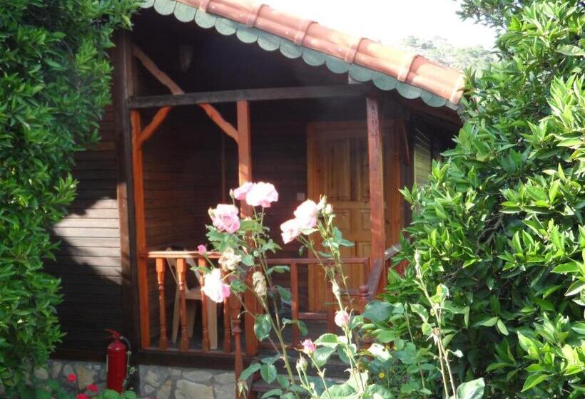 בקתה סטנדרטית, Ugur Pansiyon Bungalows