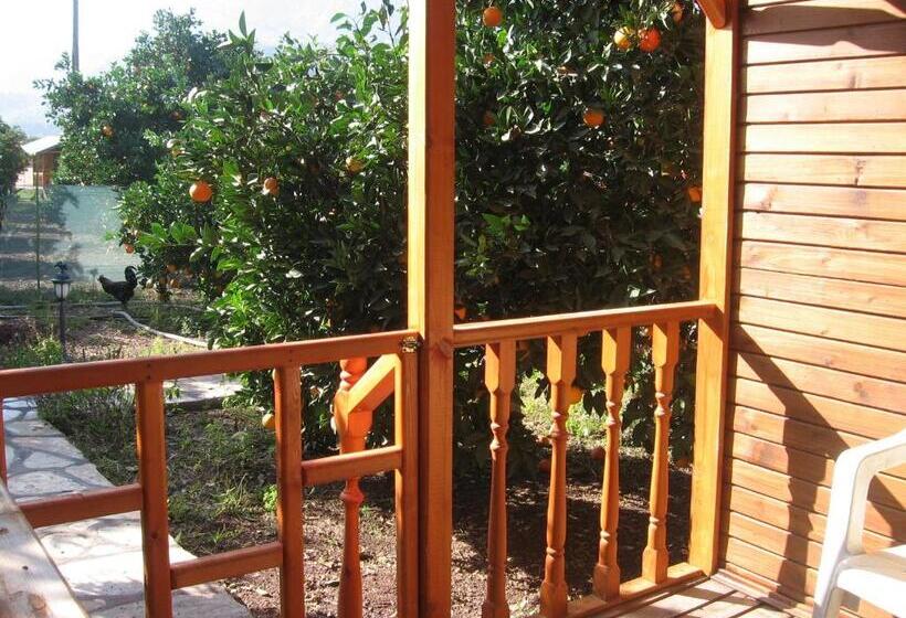 Бунгало Стандарт, Ugur Pansiyon Bungalows