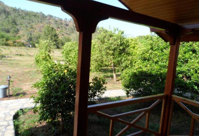 Семейное Бунгало, Ugur Pansiyon Bungalows
