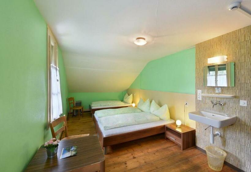 스탠다드 트리픔 룸 공동욕실, Budget Waldhotel Unspunnen