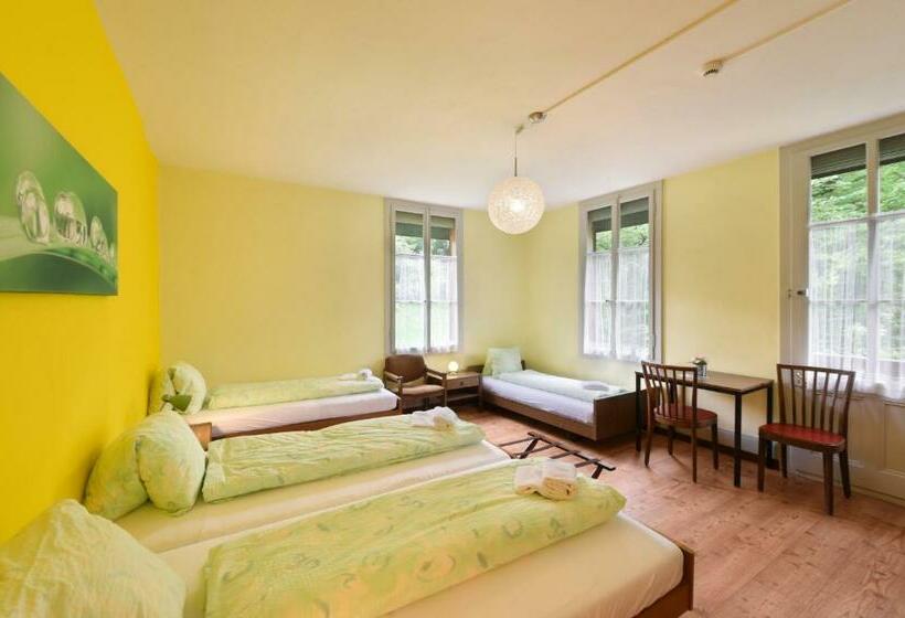 اتاق استاندارد چهارنفره با سرویس بهداشتی مشترک, Budget Waldhotel Unspunnen