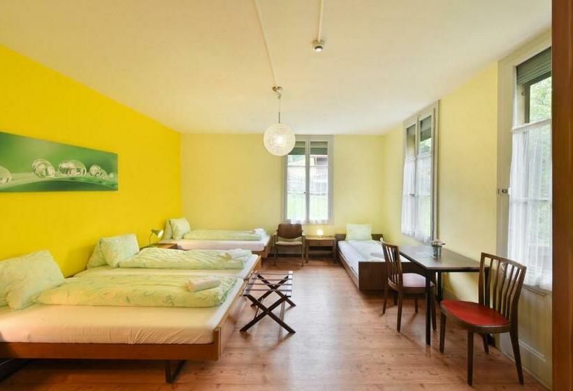 스탠다드 4인용 룸 공용 욕실, Budget Waldhotel Unspunnen