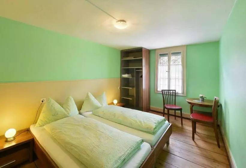 バス共有のスタンダードルーム, Budget Waldhotel Unspunnen