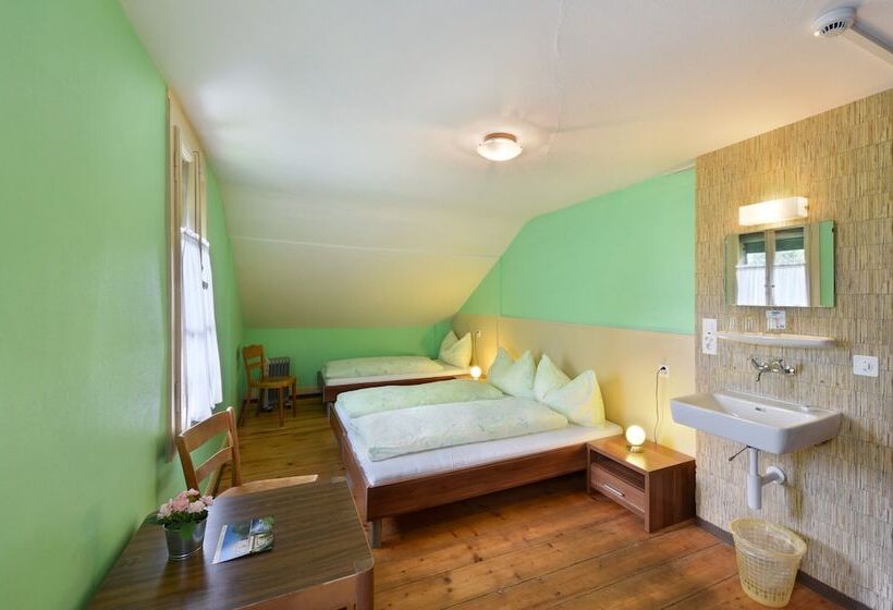 스탠다드 트리픔 룸 공동욕실, Budget Waldhotel Unspunnen