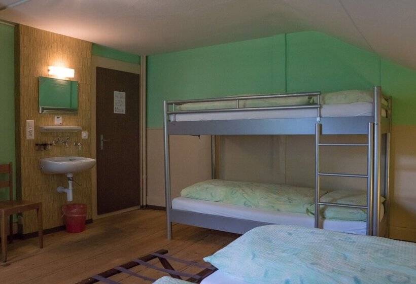 스탠다드 4인용 룸 공용 욕실, Budget Waldhotel Unspunnen