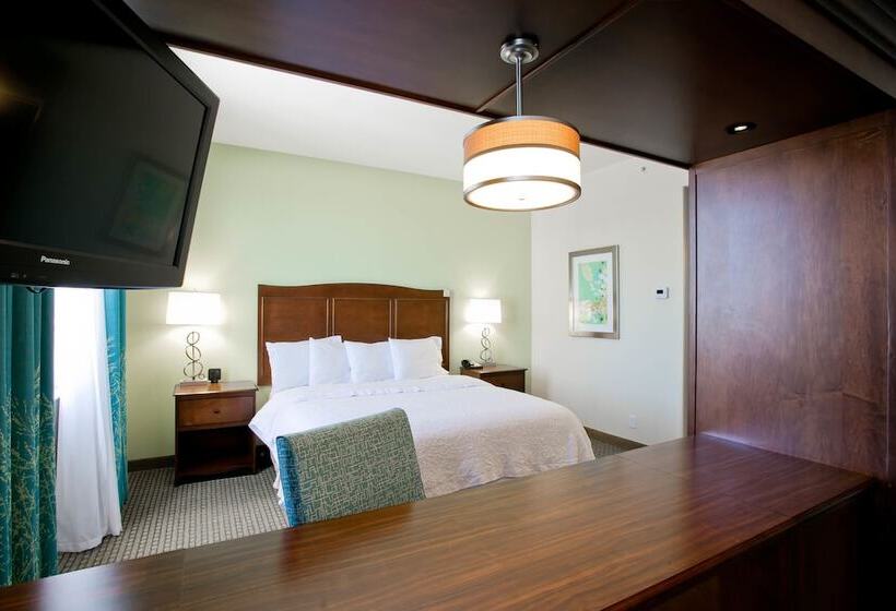 סטודיו סטנדרט, מיטה זוגית, Hampton Inn & Suites Orange Beach/gulf Front