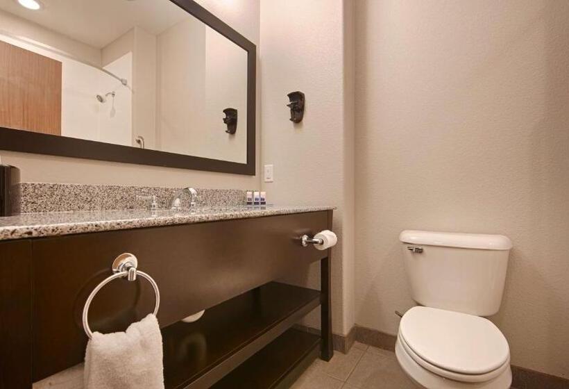 غرفة ديلوكس سرير كينج, Best Western Plus Sand Bass Inn And Suites