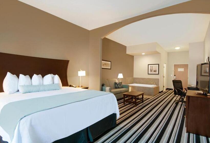 جناح لذوى الاحتياجات الخاصة, Best Western Plus Sand Bass Inn And Suites