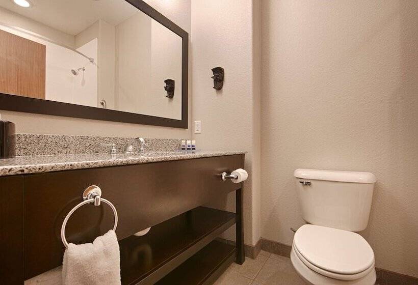 غرفة قياسية, Best Western Plus Sand Bass Inn And Suites