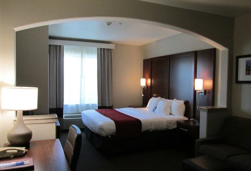스탠다드 룸, Comfort Inn & Suites Galt   Lodi North
