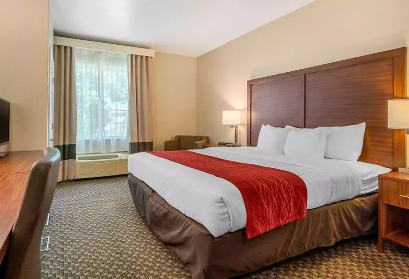 Standard-huone, Comfort Inn & Suites Galt   Lodi North