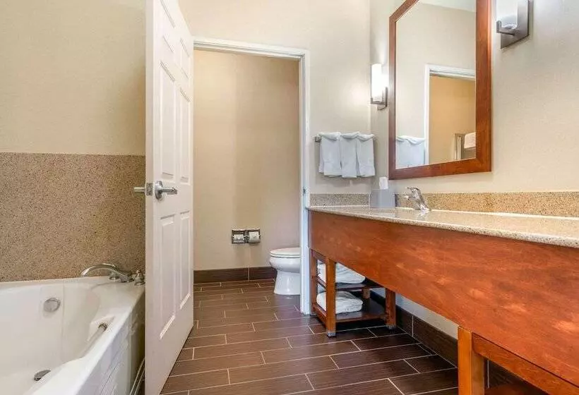 Sviitti, Comfort Inn & Suites Galt   Lodi North