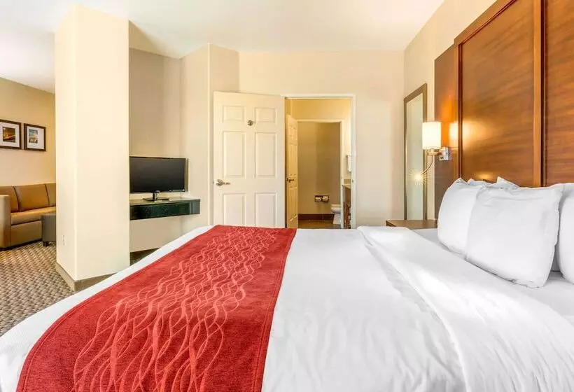 Sviitti, Comfort Inn & Suites Galt   Lodi North