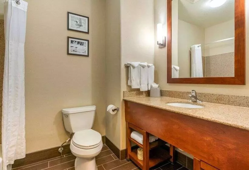 Sviitti, Comfort Inn & Suites Galt   Lodi North