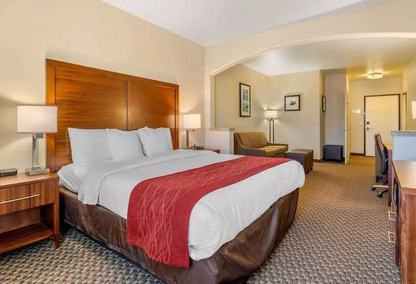 Sviitti, Comfort Inn & Suites Galt   Lodi North