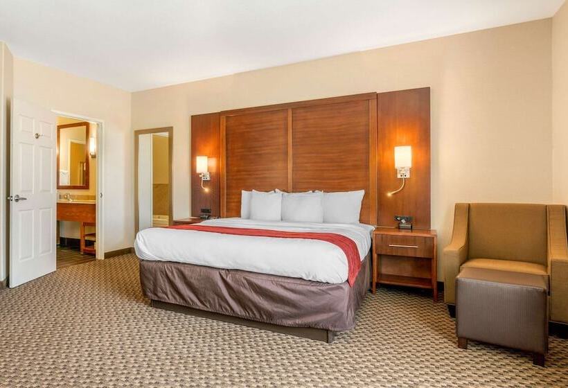 스위트, Comfort Inn & Suites Galt   Lodi North