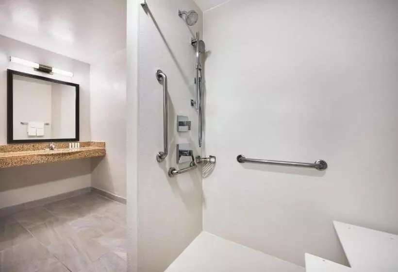キングサイズベッドのスタンダードルーム, Fairfield Inn & Suites By Marriott Hinesville Fort Stewart