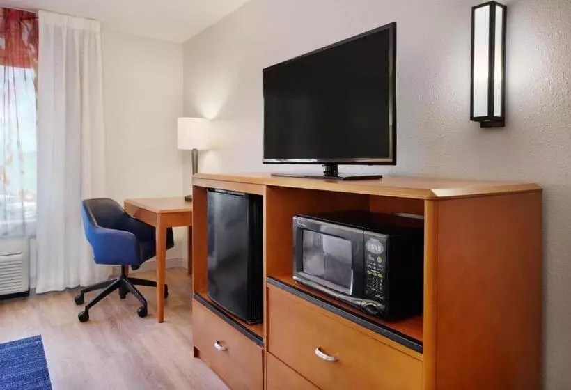キングサイズベッドのスタンダードルーム, Fairfield Inn & Suites By Marriott Hinesville Fort Stewart