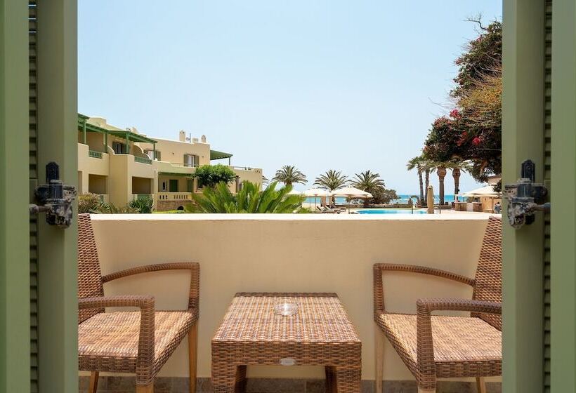 Номер Executive, Finikas