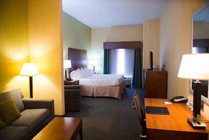 キングサイズベッドのスイートルーム, Holiday Inn Express Hotel & Suites Atlanta East   Lithonia, An Ihg