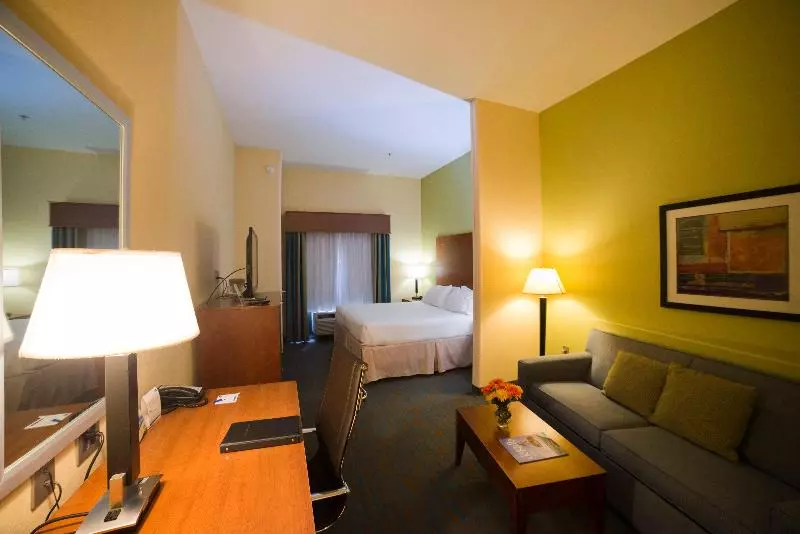 キングサイズベッドのスイートルーム, Holiday Inn Express Hotel & Suites Atlanta East   Lithonia, An Ihg
