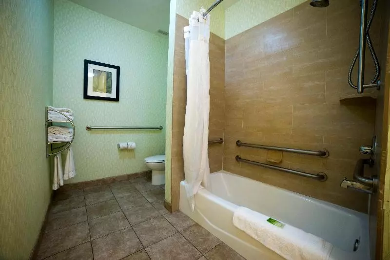 キングサイズベッドのスタンダードルーム, Holiday Inn Express Hotel & Suites Atlanta East   Lithonia, An Ihg