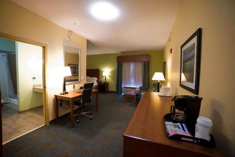 キングサイズベッドのスタンダードルーム, Holiday Inn Express Hotel & Suites Atlanta East   Lithonia, An Ihg