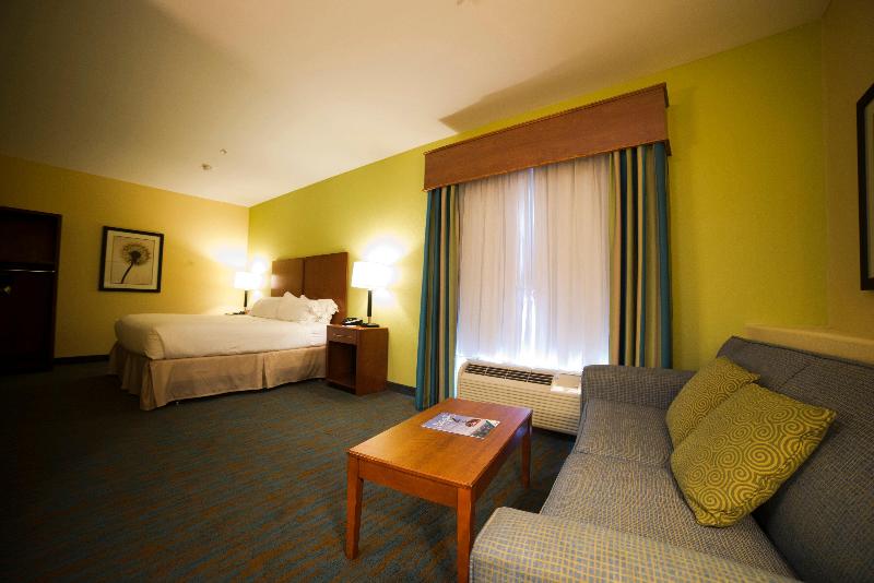 스탠다드 룸 킹사이즈 침대, Holiday Inn Express Hotel & Suites Atlanta East Lithonia, An Ihg