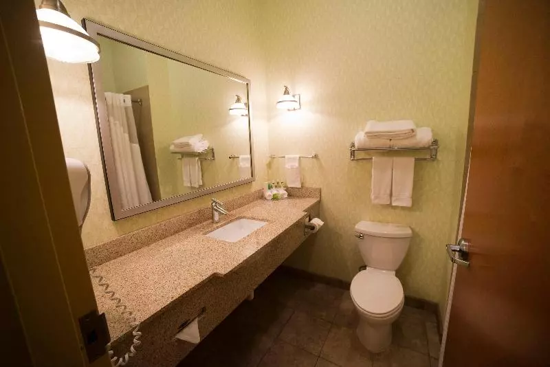 キングサイズベッドのエクゼクティブルーム, Holiday Inn Express Hotel & Suites Atlanta East   Lithonia, An Ihg