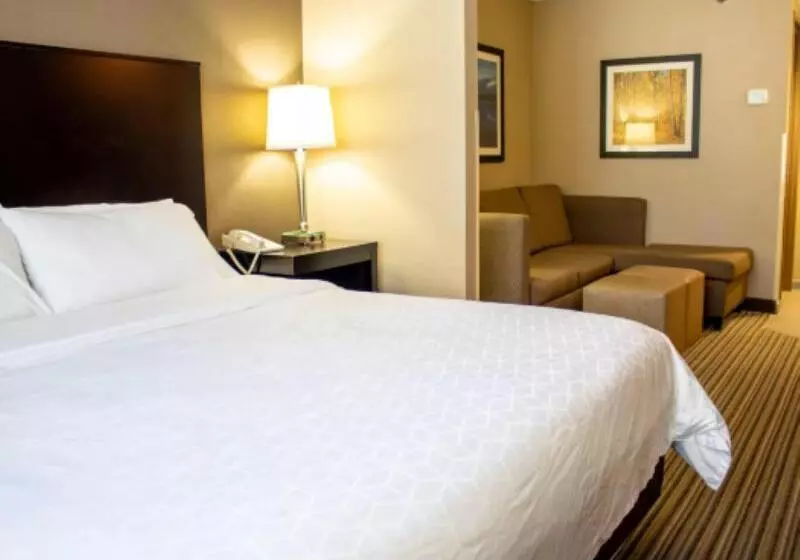キングサイズベッドのスイートルーム, Holiday Inn Express & Suites Hayward, An Ihg