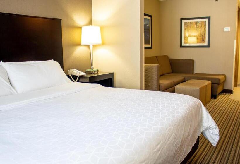 جناح سرير كينج, Holiday Inn Express & Suites Hayward, An Ihg