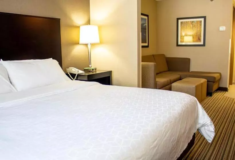キングサイズベッドのスイートルーム, Holiday Inn Express & Suites Hayward, An Ihg