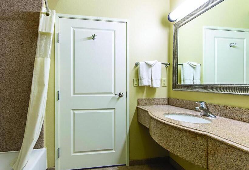 Номер Deluxe Кровать Кинг, La Quinta By Wyndham Houston New Caney