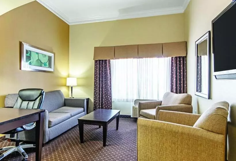 キングサイズベッドのエクゼクティブルーム, La Quinta By Wyndham Houston New Caney