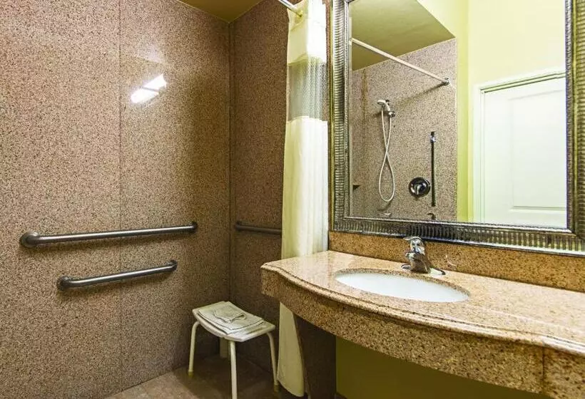 身障者適用キングサイズベッドルーム, La Quinta By Wyndham Houston New Caney